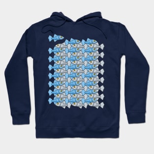 Escher style fish IV Hoodie